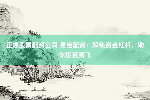 正规股票配资公司 易宝配资：解锁资金杠杆，助你投资腾飞