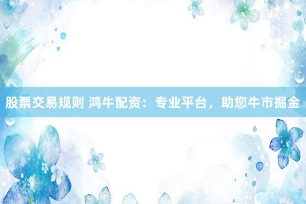 股票交易规则 鸿牛配资：专业平台，助您牛市掘金