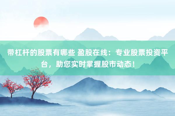 带杠杆的股票有哪些 盈股在线：专业股票投资平台，助您实时掌握股市动态！