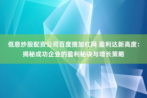 低息炒股配资公司百度搜加杠网 盈利达新高度：揭秘成功企业的盈利秘诀与增长策略