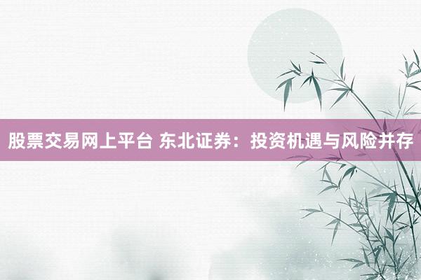 股票交易网上平台 东北证券：投资机遇与风险并存
