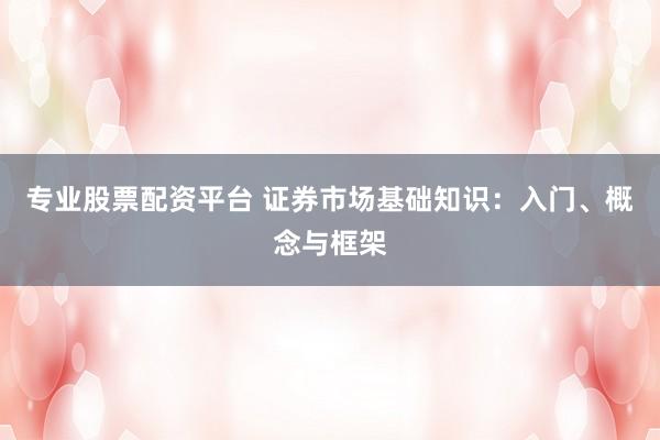 专业股票配资平台 证券市场基础知识：入门、概念与框架
