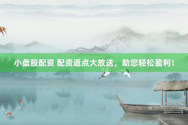 小盘股配资 配资返点大放送，助您轻松盈利！