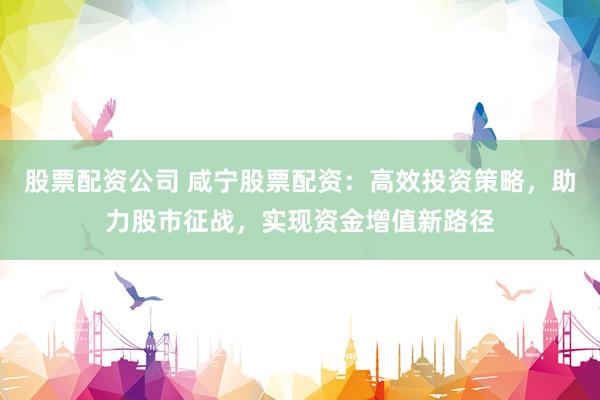 股票配资公司 咸宁股票配资：高效投资策略，助力股市征战，实现资金增值新路径