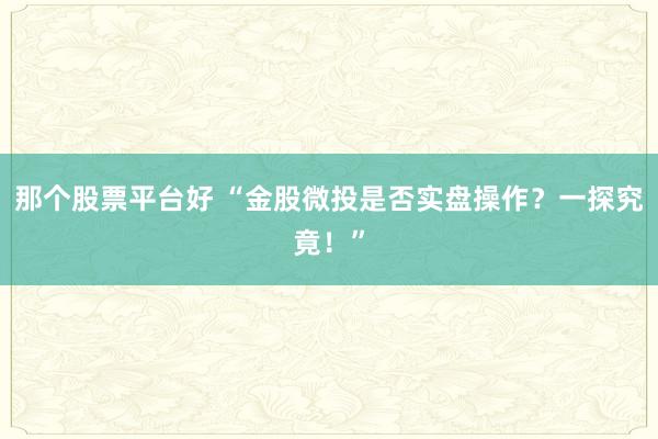 那个股票平台好 “金股微投是否实盘操作?一探究竟!”