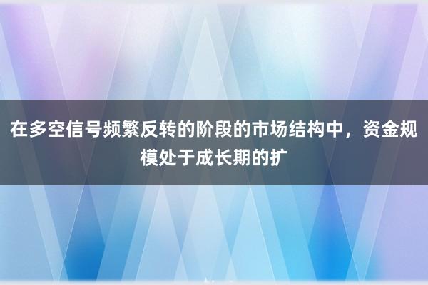 在多空信号频繁反转的阶段的市场结构中,资金规模处于成长期的扩