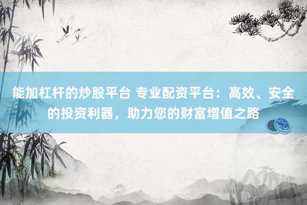 能加杠杆的炒股平台 专业配资平台：高效、安全的投资利器，助力您的财富增值之路
