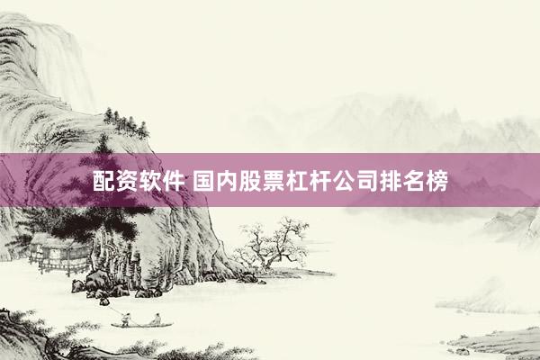 配资软件 国内股票杠杆公司排名榜