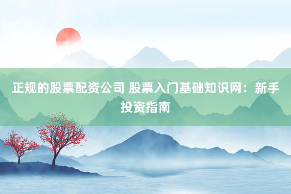 正规的股票配资公司 股票入门基础知识网：新手投资指南