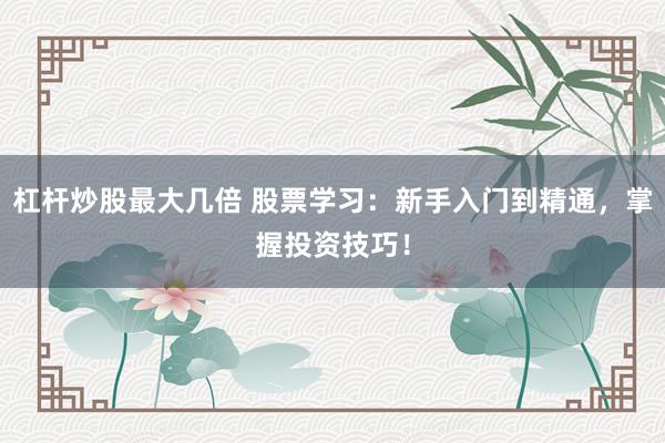 杠杆炒股最大几倍 股票学习：新手入门到精通，掌握投资技巧！