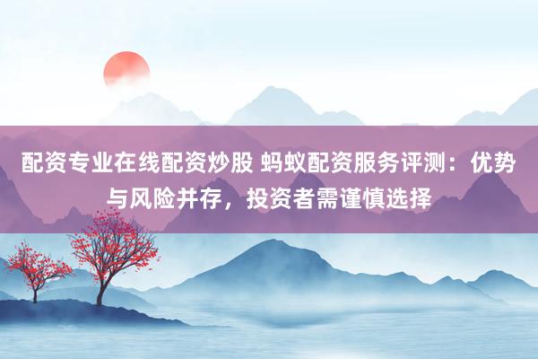 配资专业在线配资炒股 蚂蚁配资服务评测：优势与风险并存，投资者需谨慎选择