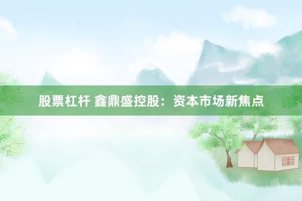 股票杠杆 鑫鼎盛控股：资本市场新焦点