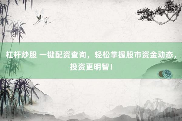杠杆炒股 一键配资查询,轻松掌握股市资金动态,投资更明智!